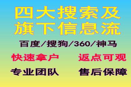 行业领先企业如何运用SEM进行精准营销